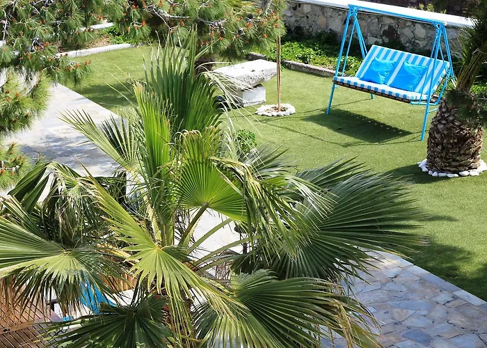 Evizorzia * פריסה