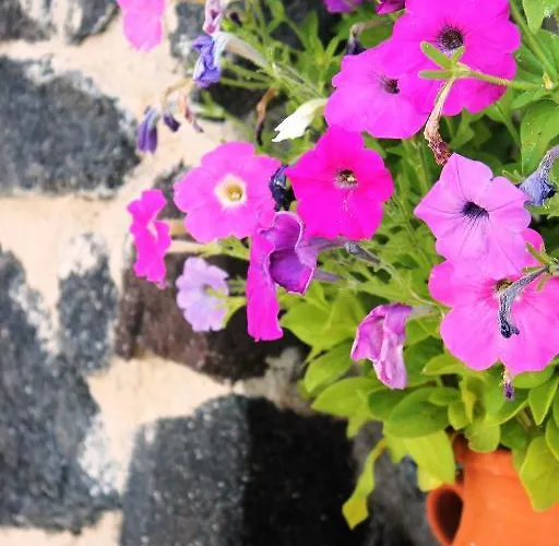 Evizorzia דירה פריסה