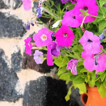 Evizorzia Apartmán Perissa (Santorini)