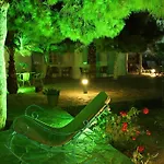 Evizorzia