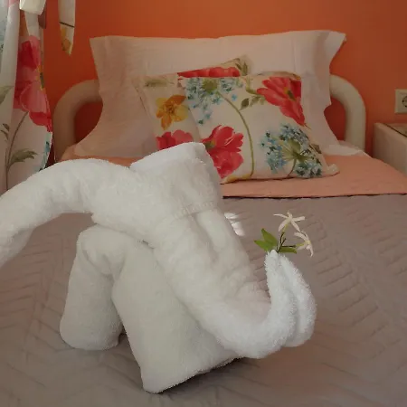 Evizorzia * Перисса